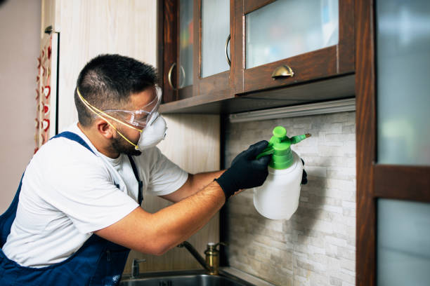 Best Mosquito Control Services  in Brodhead, KY