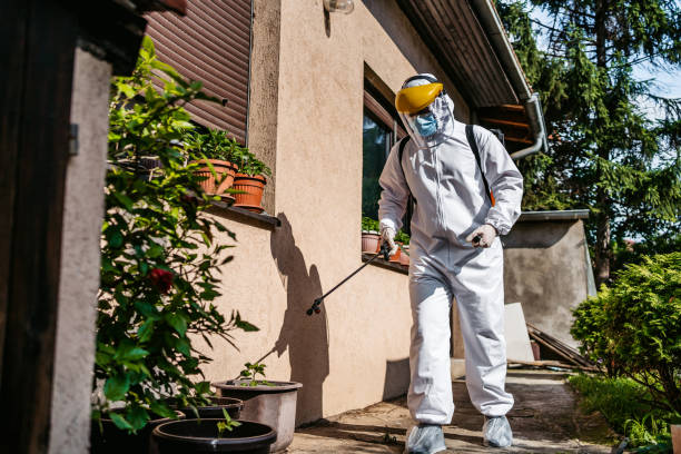Best Residential Pest Control  in Brodhead, KY