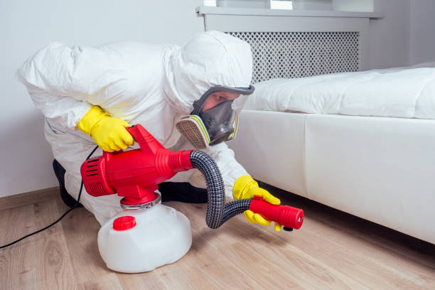 Best Emergency Pest Control  in Brodhead, KY