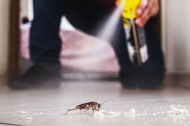 Best Cockroach Control Services  in Brodhead, KY