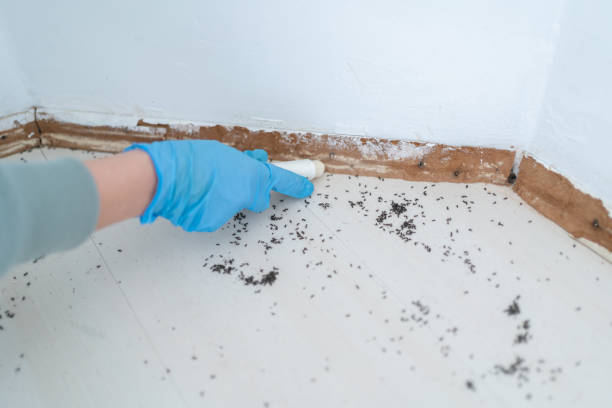 Best Exterminator Services  in Brodhead, KY